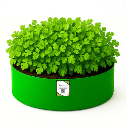OrganicBazar 15x6 Grow Bag for Leafy Vegetables, Premium HDPE 260 GSM, Green Plant Bags