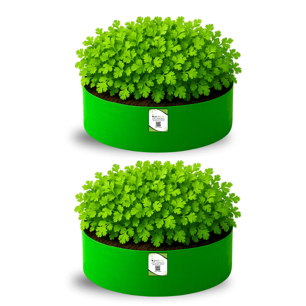 OrganicBazar 15x6 Grow Bag for Leafy Vegetables, Premium HDPE 260 GSM, Green Plant Bags