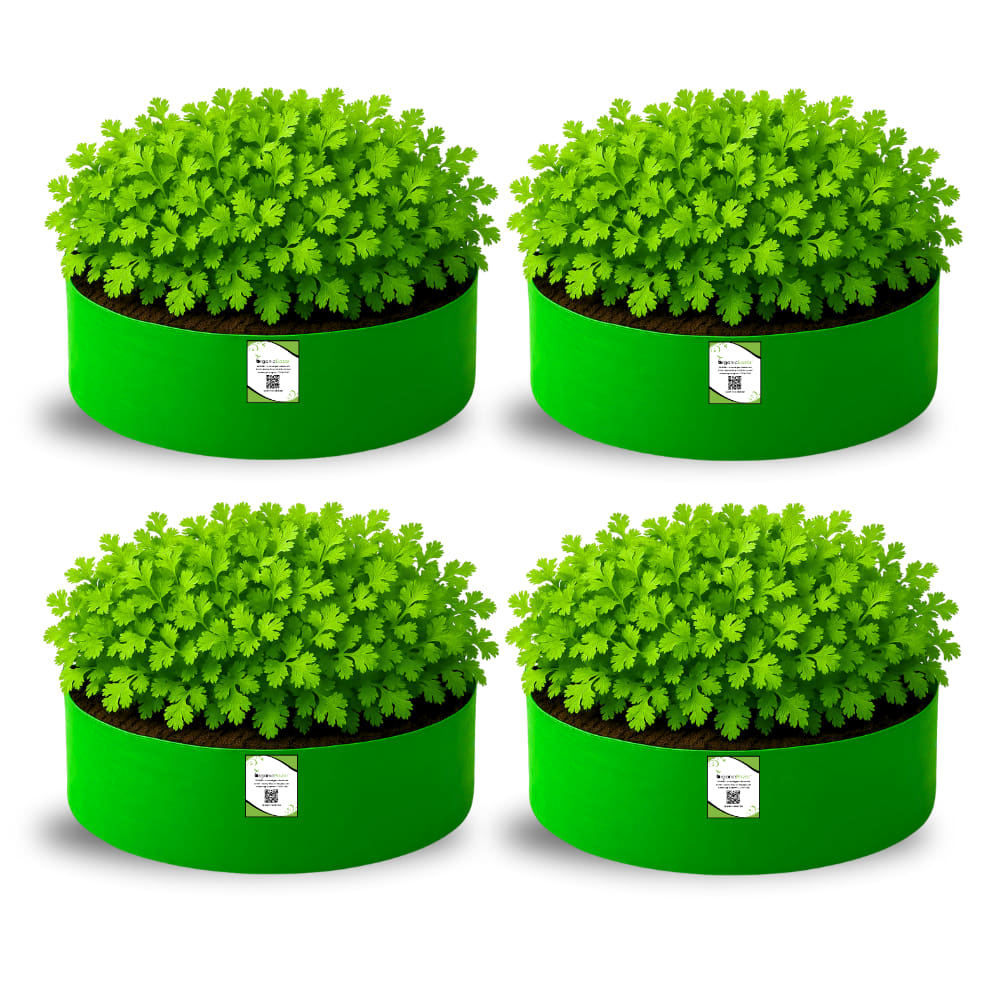OrganicBazar 15x6 Grow Bag for Leafy Vegetables, Premium HDPE 260 GSM, Green Plant Bags