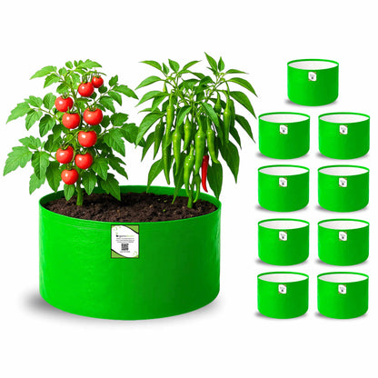 OrganicBazar 15x9 Grow Bag for Terrace Garden, Premium HDPE 260 GSM, Green Plant Bags