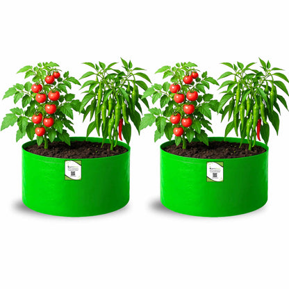 OrganicBazar 15x9 Grow Bag for Terrace Garden, Premium HDPE 260 GSM, Green Plant Bags