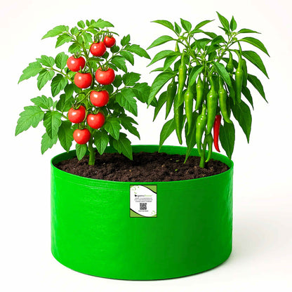 OrganicBazar 15x9 Grow Bag for Terrace Garden, Premium HDPE 260 GSM, Green Plant Bags