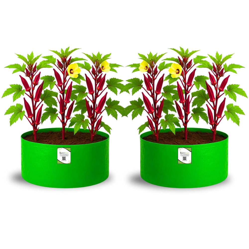 OrganicBazar 18x12 Grow Bag for Vegetable Gardening, Premium HDPE 260 GSM, Green Plant Bags for Home Garden