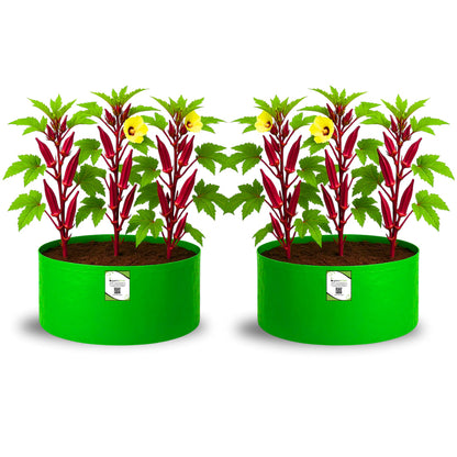 OrganicBazar 18x12 Grow Bag for Vegetable Gardening, Premium HDPE 260 GSM, Green Plant Bags for Home Garden