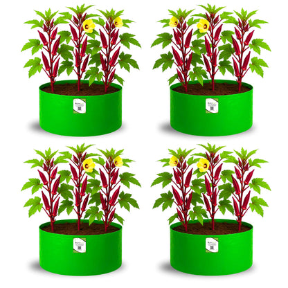 OrganicBazar 18x12 Grow Bag for Vegetable Gardening, Premium HDPE 260 GSM, Green Plant Bags for Home Garden