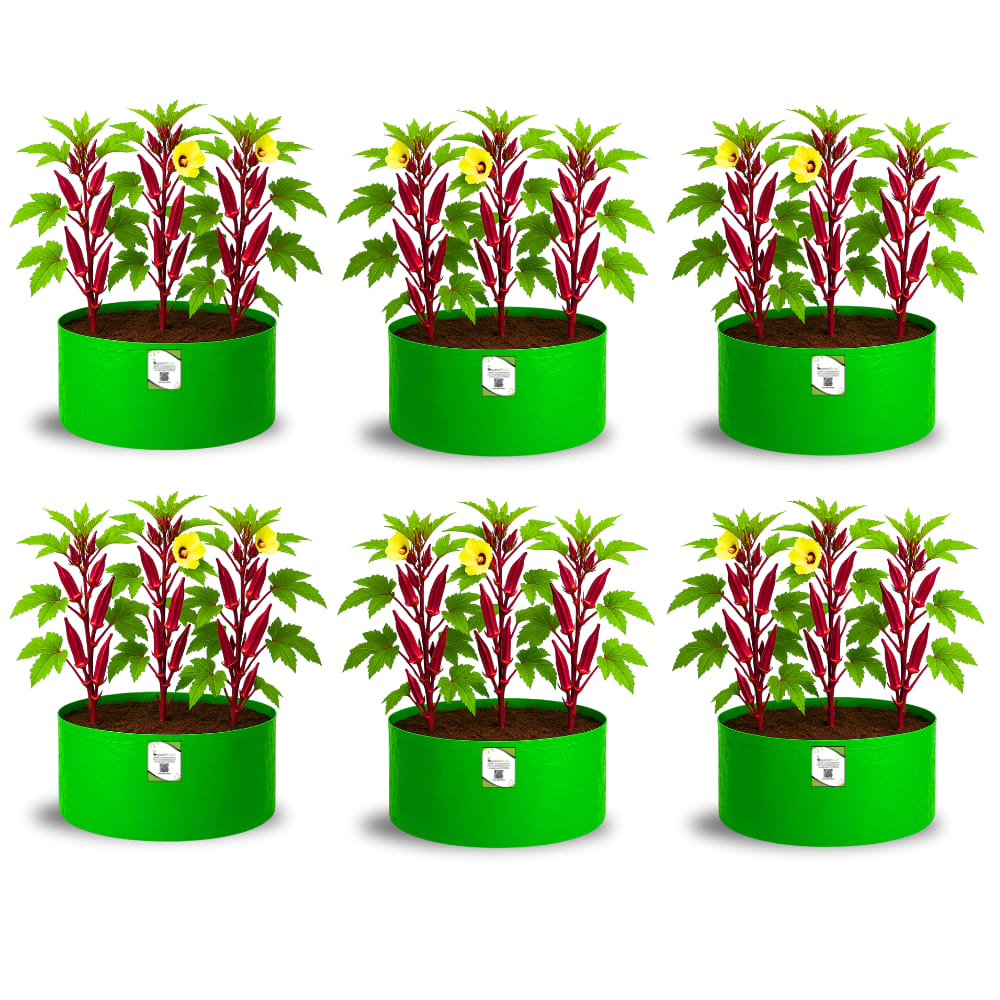 OrganicBazar 18x12 Grow Bag for Vegetable Gardening, Premium HDPE 260 GSM, Green Plant Bags for Home Garden