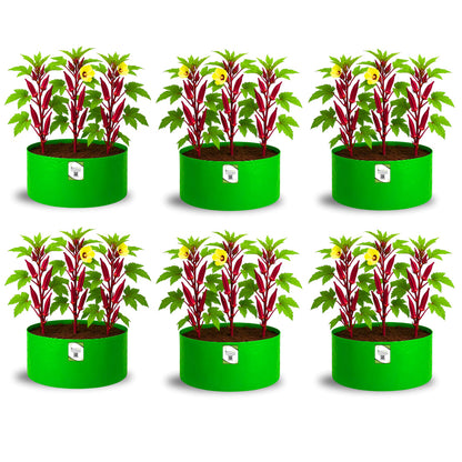 OrganicBazar 18x12 Grow Bag for Vegetable Gardening, Premium HDPE 260 GSM, Green Plant Bags for Home Garden