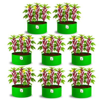 OrganicBazar 18x12 Grow Bag for Vegetable Gardening, Premium HDPE 260 GSM, Green Plant Bags for Home Garden