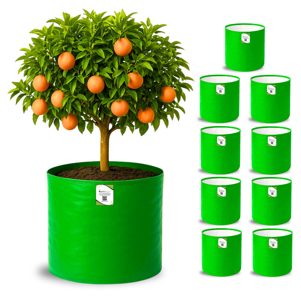 HDPE 18x18 Grow Bags for Terrace Gardening Extra Thick Premium Quality Grow Bags