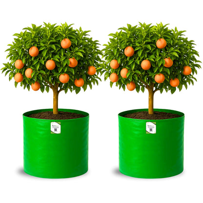 HDPE 18x18 Grow Bags for Terrace Gardening Extra Thick Premium Quality Grow Bags