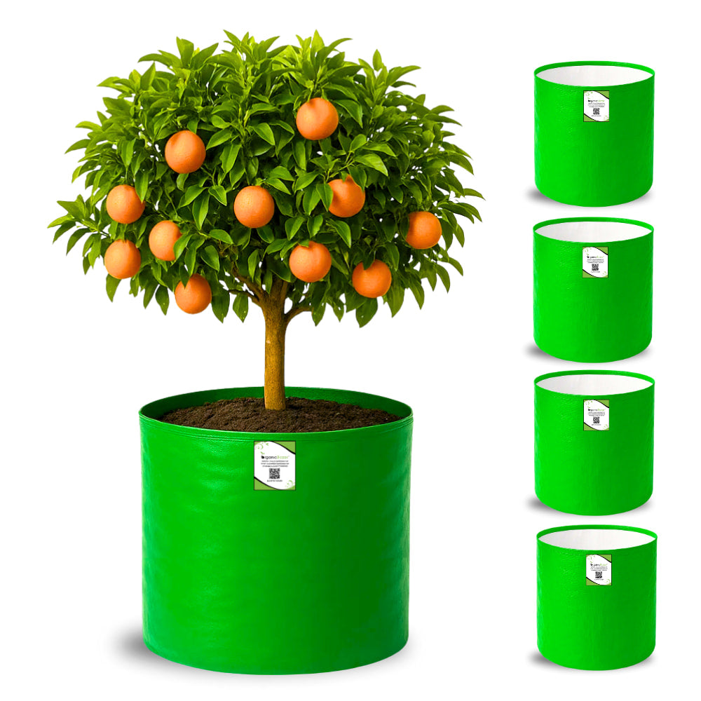 HDPE 18x18 Grow Bags for Terrace Gardening Extra Thick Premium Quality Grow Bags