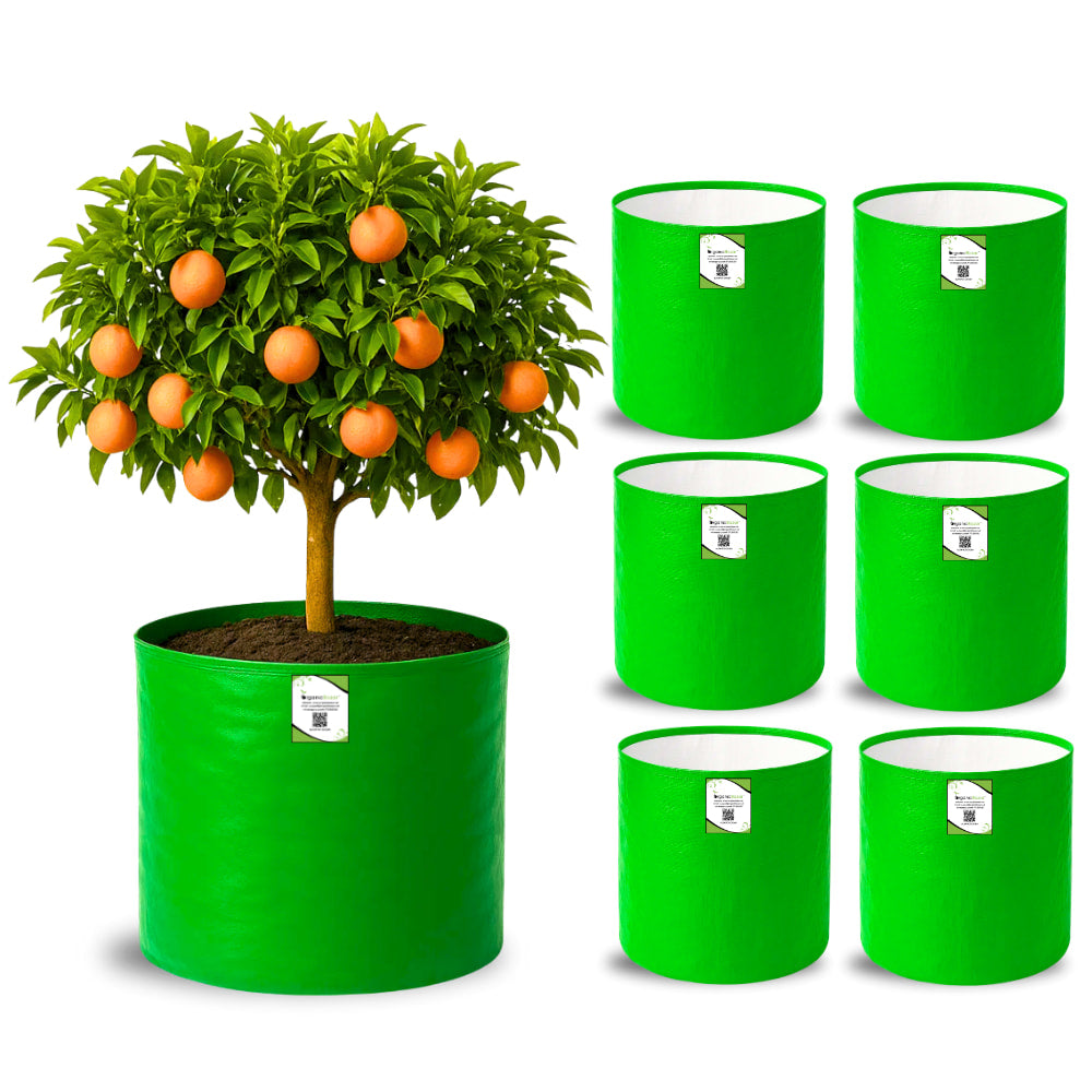 HDPE 18x18 Grow Bags for Terrace Gardening Extra Thick Premium Quality Grow Bags