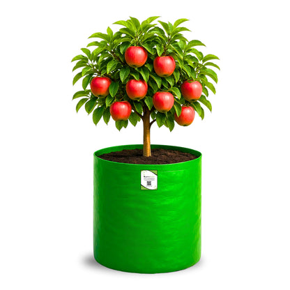 OrganicBazar 18X24 Tree Grow Bag for Home Gardening, Premium HDPE 260 GSM Green Big Plant Bags