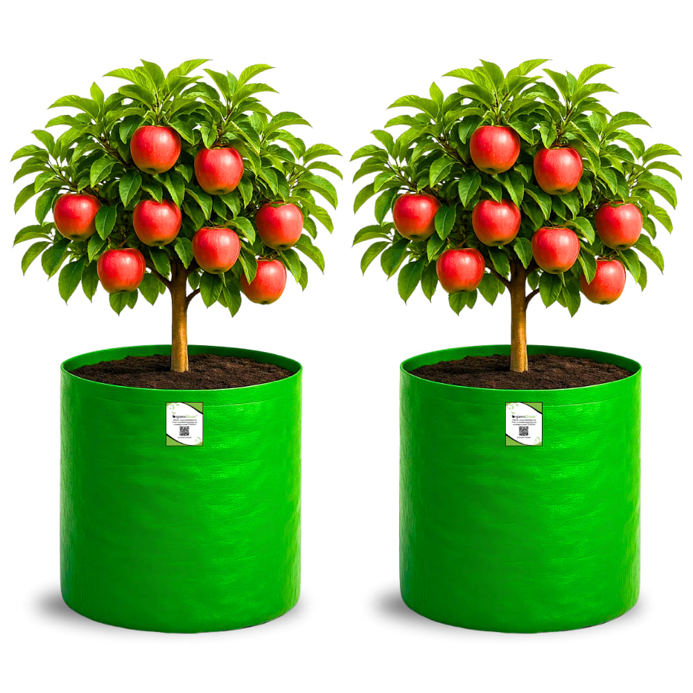 OrganicBazar 18X24 Tree Grow Bag for Home Gardening, Premium HDPE 260 GSM Green Big Plant Bags