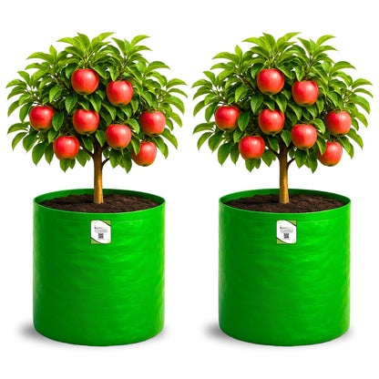 OrganicBazar 18X24 Tree Grow Bag for Home Gardening, Premium HDPE 260 GSM Green Big Plant Bags