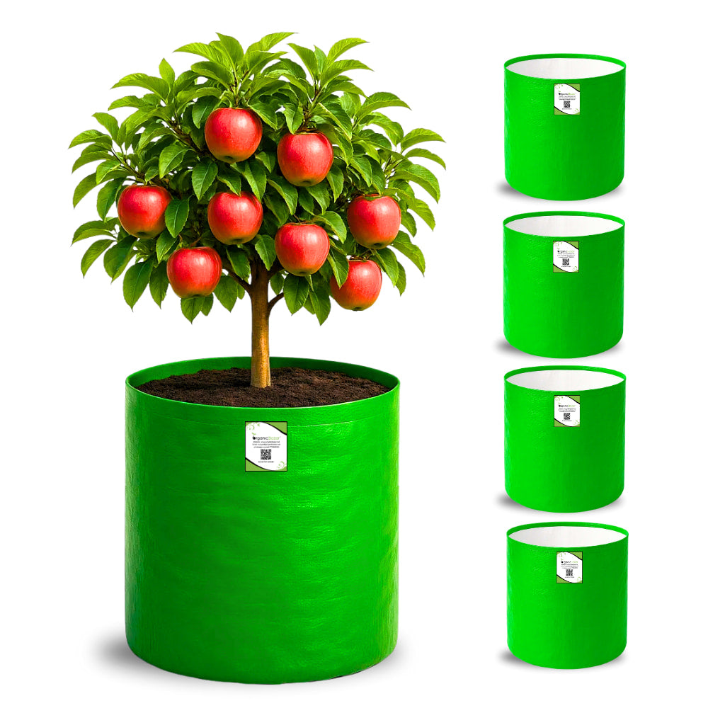 OrganicBazar 18X24 Tree Grow Bag for Home Gardening, Premium HDPE 260 GSM Green Big Plant Bags