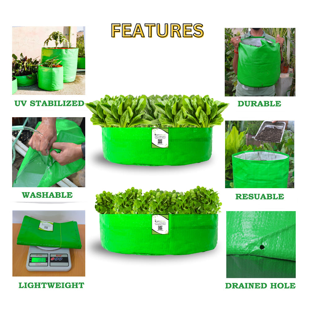 OrganicBazar 18x9 Grow Bag for Leafy Vegetables, Premium HDPE 260 GSM, Green Plant Bags for Terrace Garden