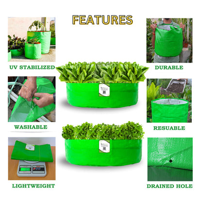 OrganicBazar 15x6 Grow Bag for Leafy Vegetables, Premium HDPE 260 GSM, Green Plant Bags