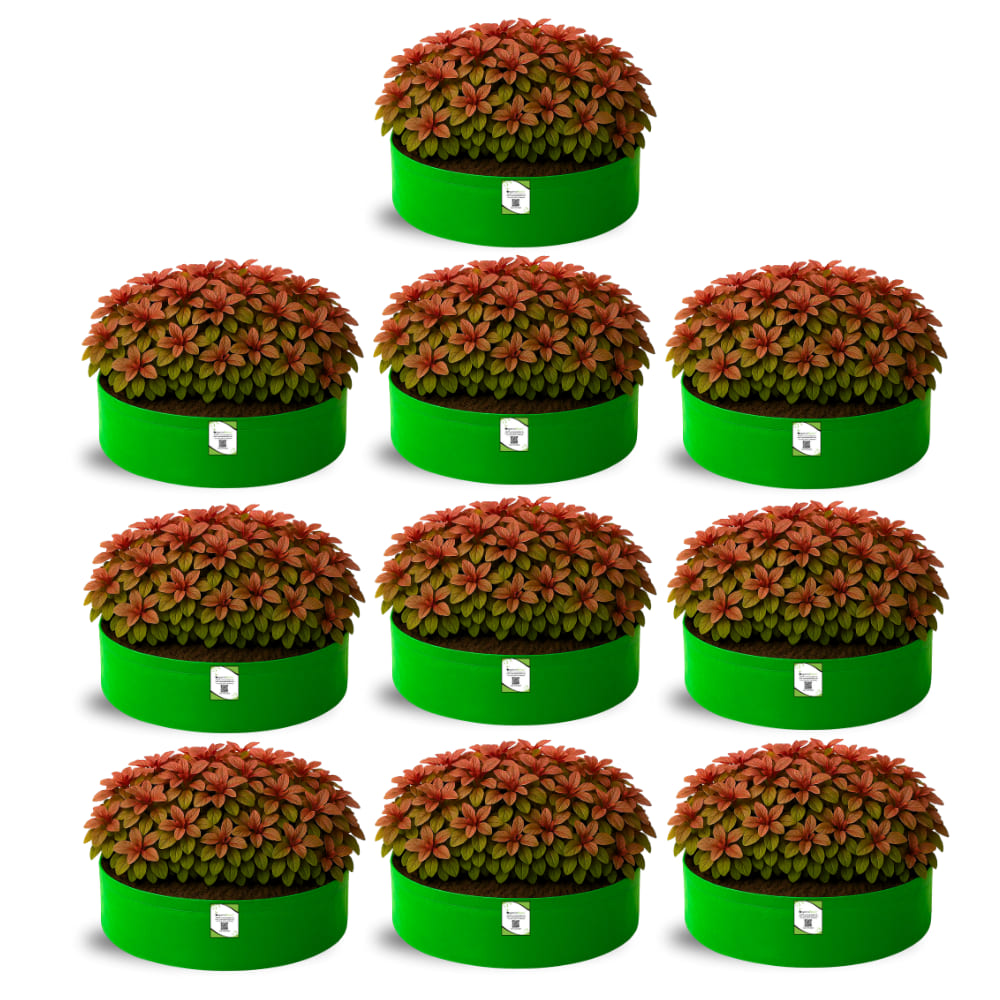 OrganicBazar 18x6 Grow Bag for Leafy Vegetables, Premium HDPE 260 GSM, Green Plant Bags for Terrace Garden