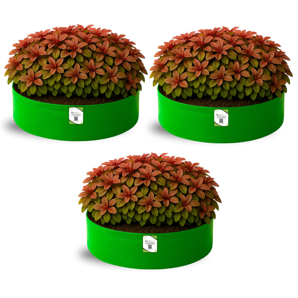 OrganicBazar 18x6 Grow Bag for Leafy Vegetables, Premium HDPE 260 GSM, Green Plant Bags for Terrace Garden