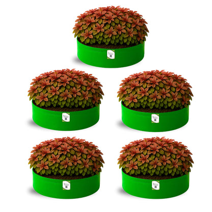 OrganicBazar 18x6 Grow Bag for Leafy Vegetables, Premium HDPE 260 GSM, Green Plant Bags for Terrace Garden