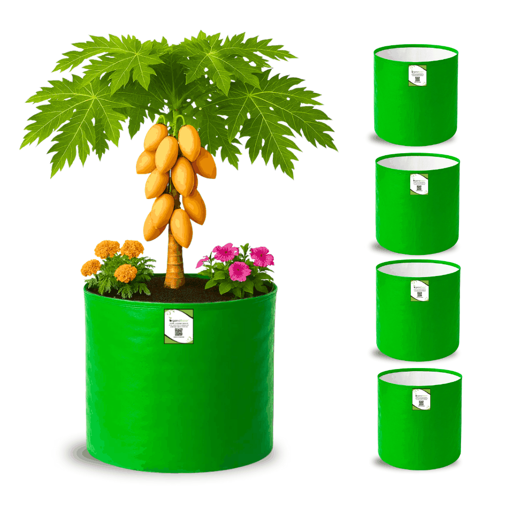 OrganicBazar 21x21 Big Size Grow Bags for Terrace Gardening, Premium HDPE 260 GSM Green Plant Bag for Fruit Tree