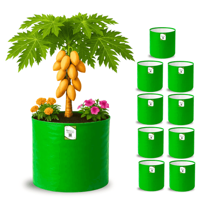 OrganicBazar 21x21 Big Size Grow Bags for Terrace Gardening, Premium HDPE 260 GSM Green Plant Bag for Fruit Tree