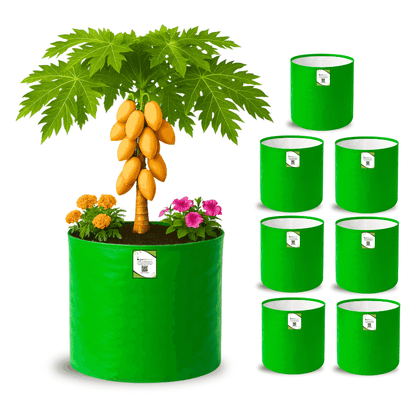 OrganicBazar 21x21 Big Size Grow Bags for Terrace Gardening, Premium HDPE 260 GSM Green Plant Bag for Fruit Tree