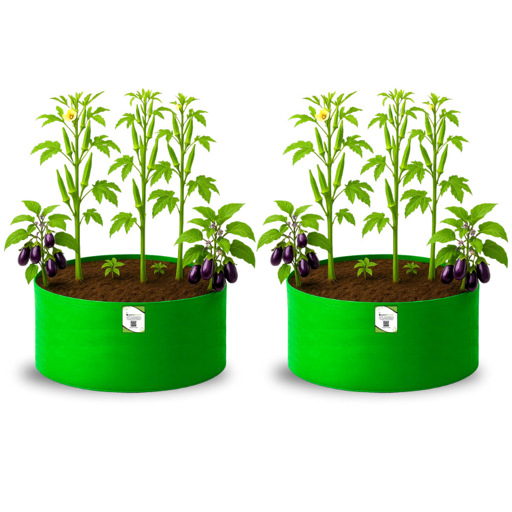 OrganicBazar 24x12 Big Size Grow Bags for Home and Terrace Garden, Premium HDPE 260 GSM Green Plant Bag