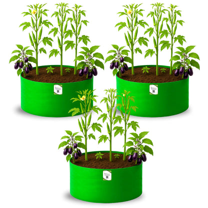 OrganicBazar 24x12 Big Size Grow Bags for Home and Terrace Garden, Premium HDPE 260 GSM Green Plant Bag