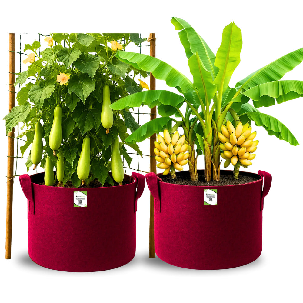 OragnicBazar Geo 24×24 Grow Bag for Home & Terrace Gardening Suitable for Fruit Tree, Premium Geo Fabric 450 GSM Plant Bags