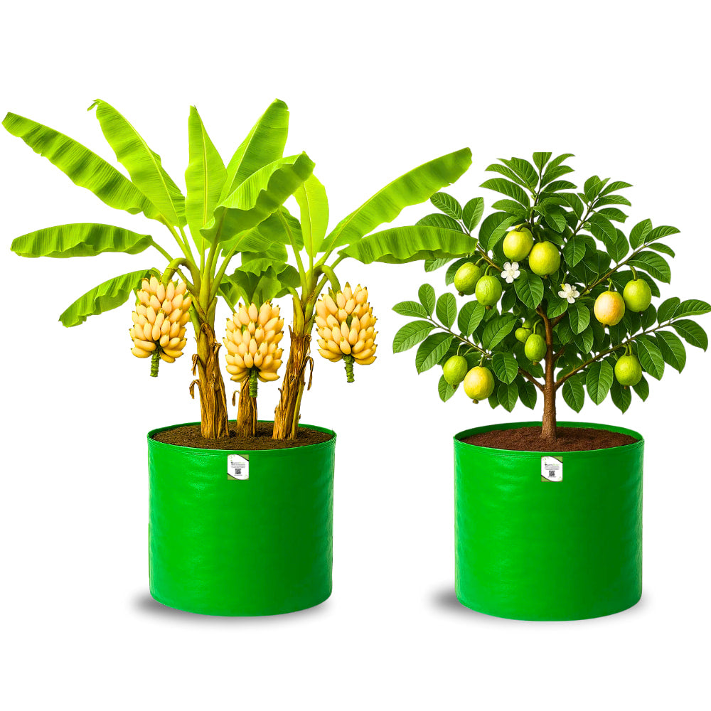 OrganicBazar HDPE 24x24 Big Size Grow Bags for Home Gardening | Plants Bags for Fruits, Vegetables, & Flowers | Round Green Planting Bags | 260 GSM Garden Growing Bag