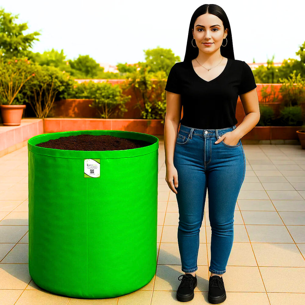 OrganicBazar 24X36 Very Large Grow Bag for Fruit Tree, Premium HDPE 260 GSM Green Big Planter for Terrace Garden