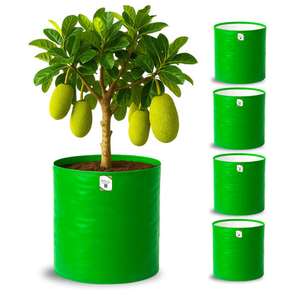 OrganicBazar 24X36 Very Large Grow Bag for Fruit Tree, Premium HDPE 260 GSM Green Big Planter for Terrace Garden