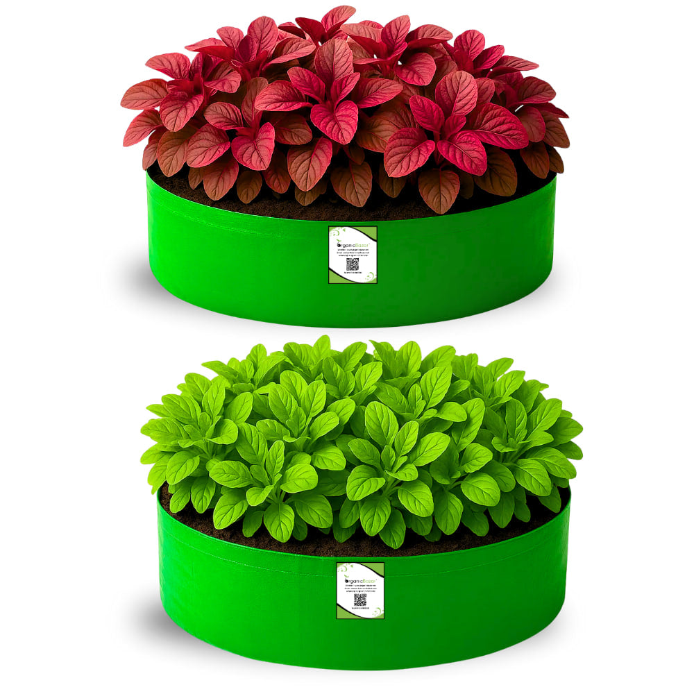 OrganicBazar 24x9 Grow Bag for Leafy Vegetables, Premium HDPE 260 GSM, Green Plant Bags for Terrace Garden