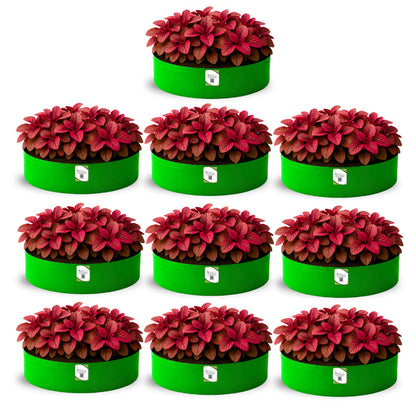 OrganicBazar 24x9 Grow Bag for Leafy Vegetables, Premium HDPE 260 GSM, Green Plant Bags for Terrace Garden