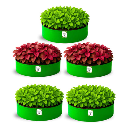 OrganicBazar 24x9 Grow Bag for Leafy Vegetables, Premium HDPE 260 GSM, Green Plant Bags for Terrace Garden