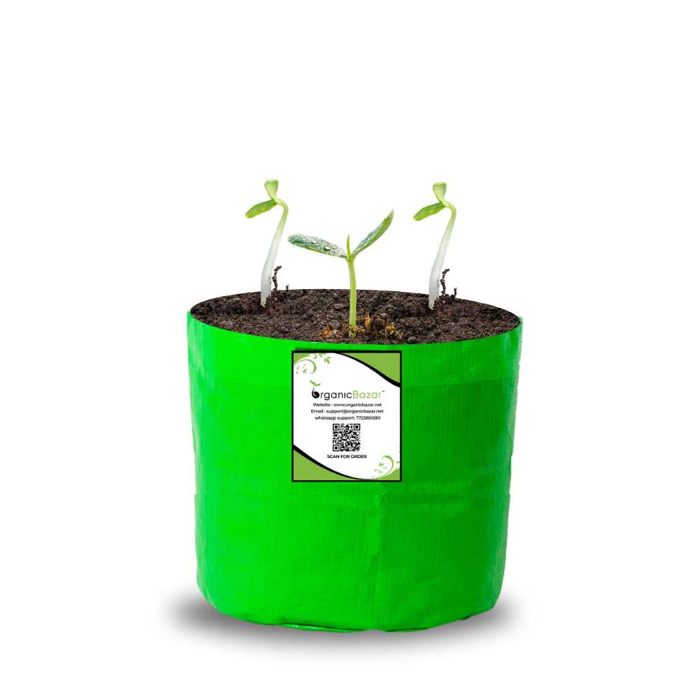 OrganicBazar 6x6 Small Size Grow Bag for Home Gardening, Premium HDPE 260 GSM, Green Plant Bags