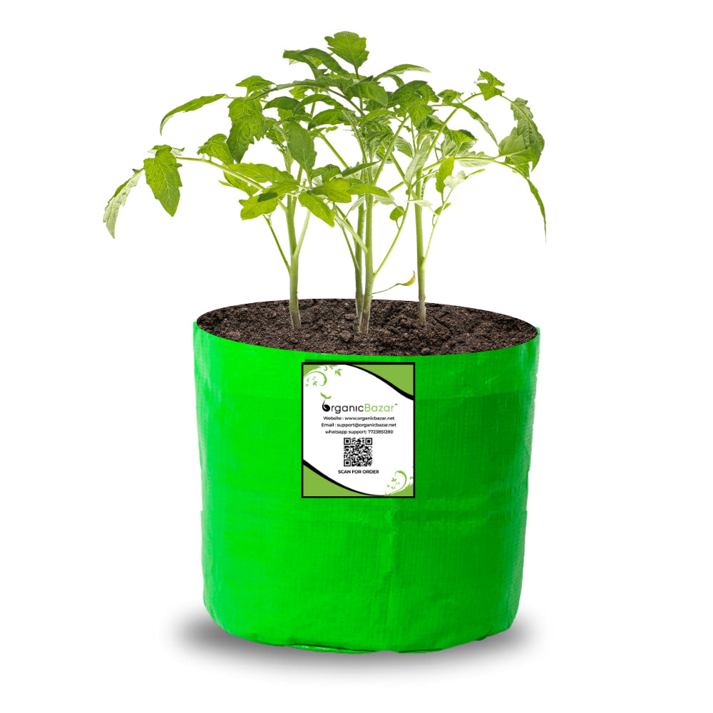 OrganicBazar 6x6 Small Size Grow Bag for Home Gardening, Premium HDPE 260 GSM, Green Plant Bags