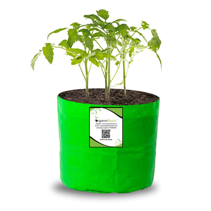 OrganicBazar 6x6 Small Size Grow Bag for Home Gardening, Premium HDPE 260 GSM, Green Plant Bags