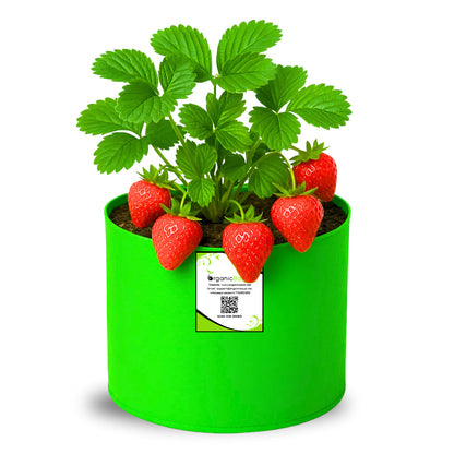 OrganicBazar 6x6 Small Size Grow Bag for Home Gardening, Premium HDPE 260 GSM, Green Plant Bags