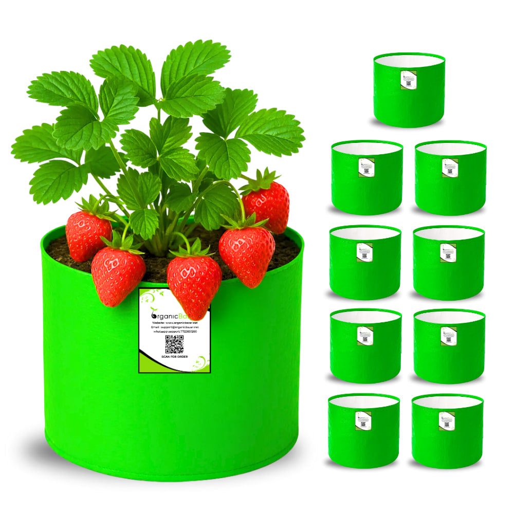 OrganicBazar 6x6 Small Size Grow Bag for Home Gardening, Premium HDPE 260 GSM, Green Plant Bags