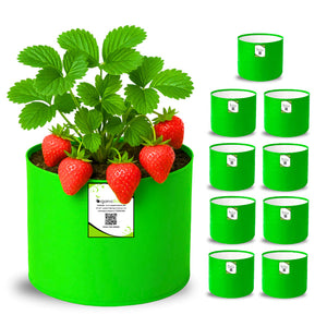 OrganicBazar 6x6 Small Size Grow Bag for Home Gardening, Premium HDPE 260 GSM, Green Plant Bags