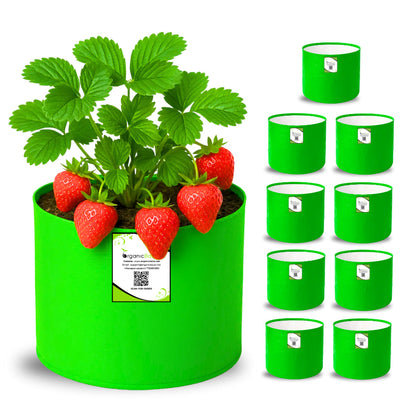 OrganicBazar 6x6 Small Size Grow Bag for Home Gardening, Premium HDPE 260 GSM, Green Plant Bags