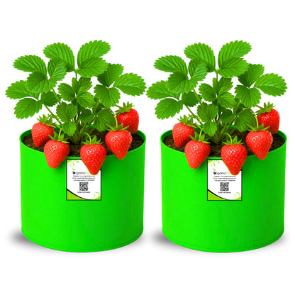 OrganicBazar 6x6 Small Size Grow Bag for Home Gardening, Premium HDPE 260 GSM, Green Plant Bags