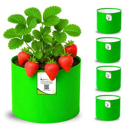 OrganicBazar 6x6 Small Size Grow Bag for Home Gardening, Premium HDPE 260 GSM, Green Plant Bags