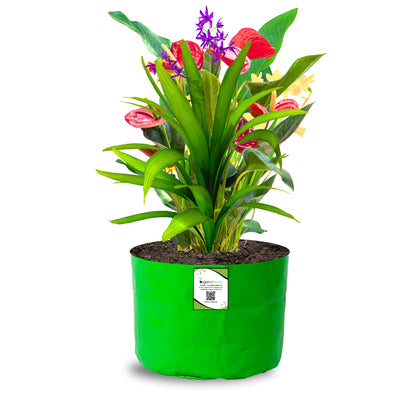 OrganicBazar 9x6 Small Grow Bag for Terrace Garden, Premium HDPE 260 GSM, Green Plant Bags