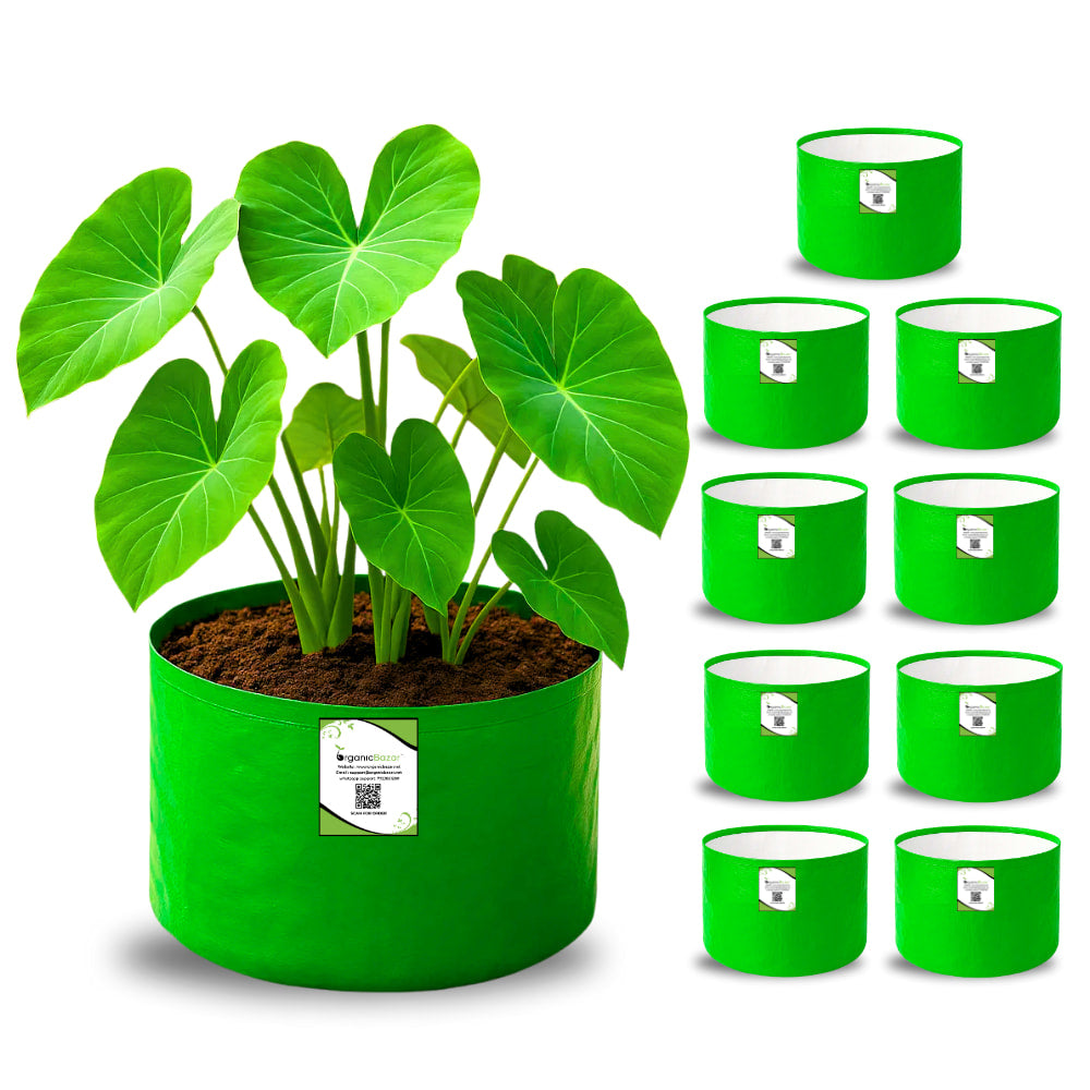 OrganicBazar 9x6 Small Grow Bag for Terrace Garden, Premium HDPE 260 GSM, Green Plant Bags