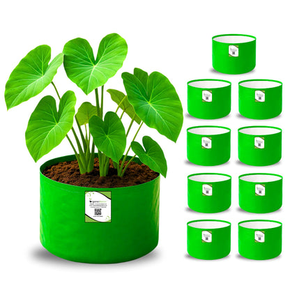 OrganicBazar 9x6 Small Grow Bag for Terrace Garden, Premium HDPE 260 GSM, Green Plant Bags