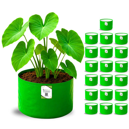 OrganicBazar 9x6 Small Grow Bag for Terrace Garden, Premium HDPE 260 GSM, Green Plant Bags